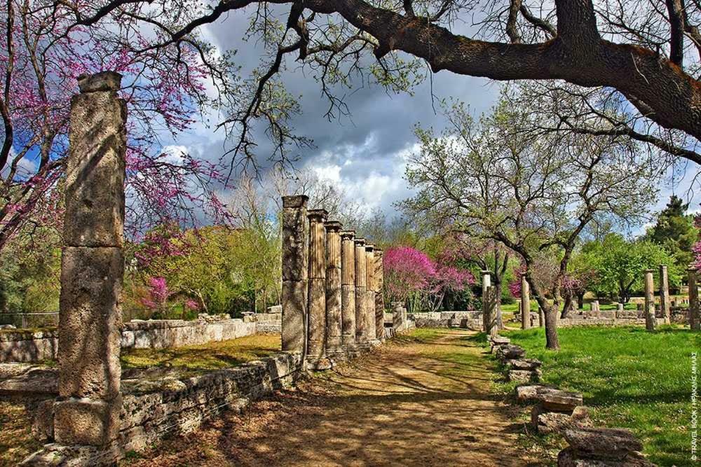 شقة Nikos Loft Olympia Kato Figalia المظهر الخارجي الصورة